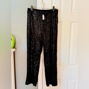 Loft Side Zip Sequin Pants